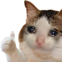 4829okcryingcat