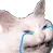 000_cat_crying