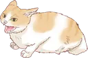 TheCat