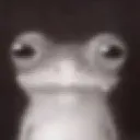 frawg