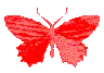 red_butterfly