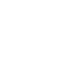 miniboss