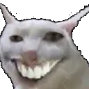 catgrin catgrin