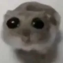 oh