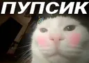 pupsik