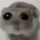 SadHampter