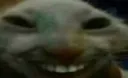 xdd