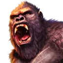 kong
