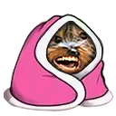 BBCozy BBCozy