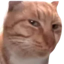 5891catsusremovebgpreview