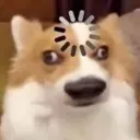 Confused