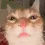 Catastrophe_BruhWhat