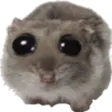 mopoloSad
