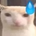 wheneliteraimimgatme
