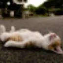 tired