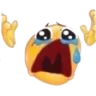 cri cri