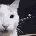 hehehe