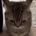 hhhhh