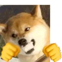 shiba_punch
