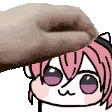 Pepdoro_pet