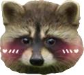 Blush_Racoon
