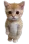 :cat_stand: