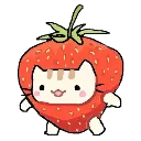 strawberry_kitten2 Discord Emoji