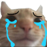 sad_catge