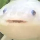 minmoo