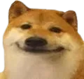 CheemsBruh CheemsBruh