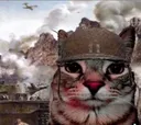 1000yardcat
