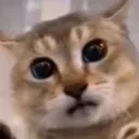 helloreverse