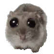 PLEEASE