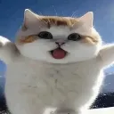 waaa