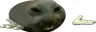 xddshrug