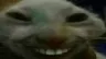 xdd