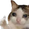 crycat