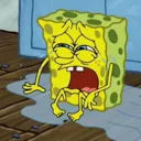 spongecry