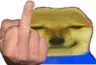 dogefuckyou Discord Emoji