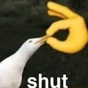shut