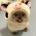emoji_441