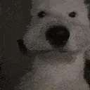 TM_turbio