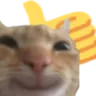 catthumbsup