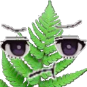 FernFernDance