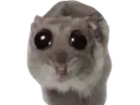 sadbeast sadbeast