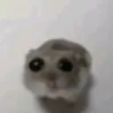 oh