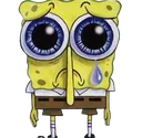 sadsponge