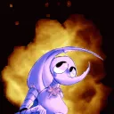 BeetleBoom