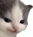 evilhehe