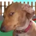 emoji_2 emoji_2